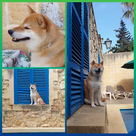 Mj Bed & Breakfast Xaghra