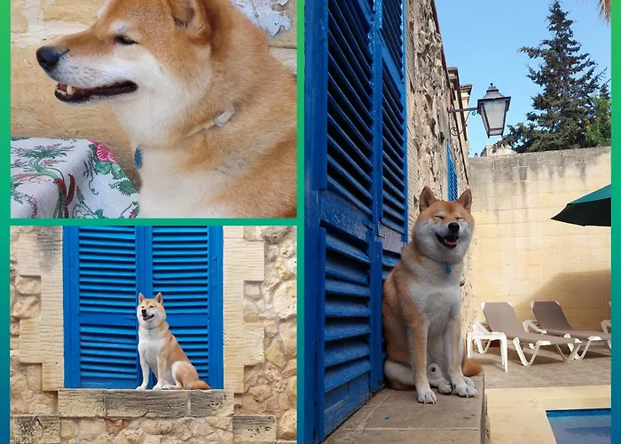 Mj فندق مبيت وإفطار Xagħra